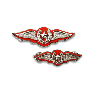Pembuat Custom Metal Silver Tentera Tentera Udara Seragam Badge Pins